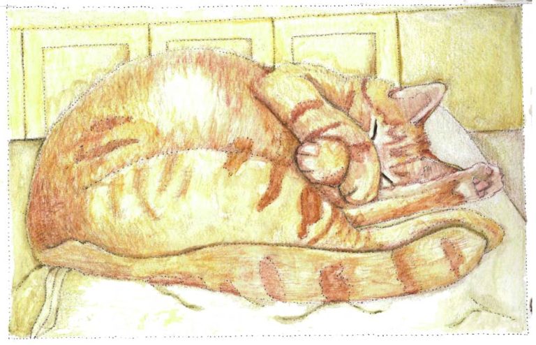 Cat Relaxed by Melissa Severance