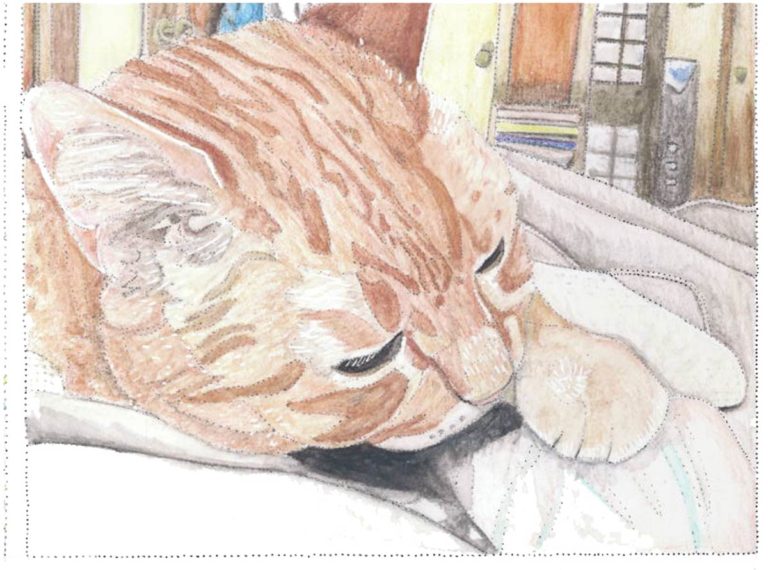 Lounging Cat by Melissa Severance